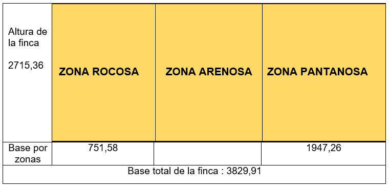 PASO 6