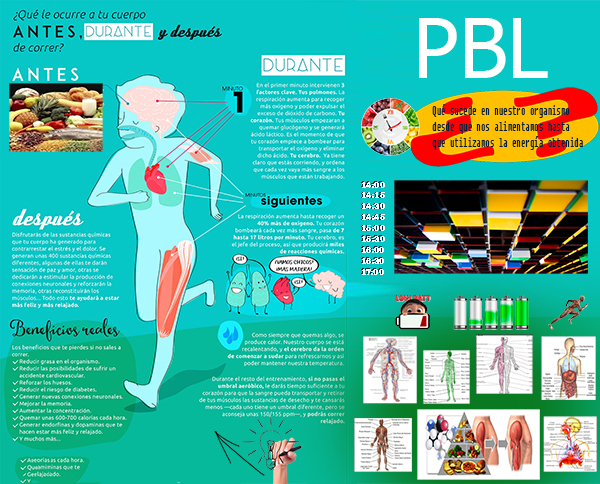 pbl aparatos y sistemas